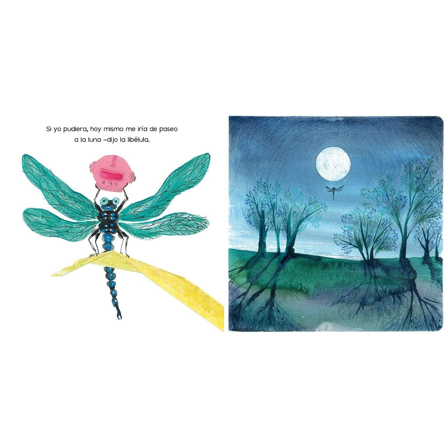 Interior libro "Sueños el jardín"