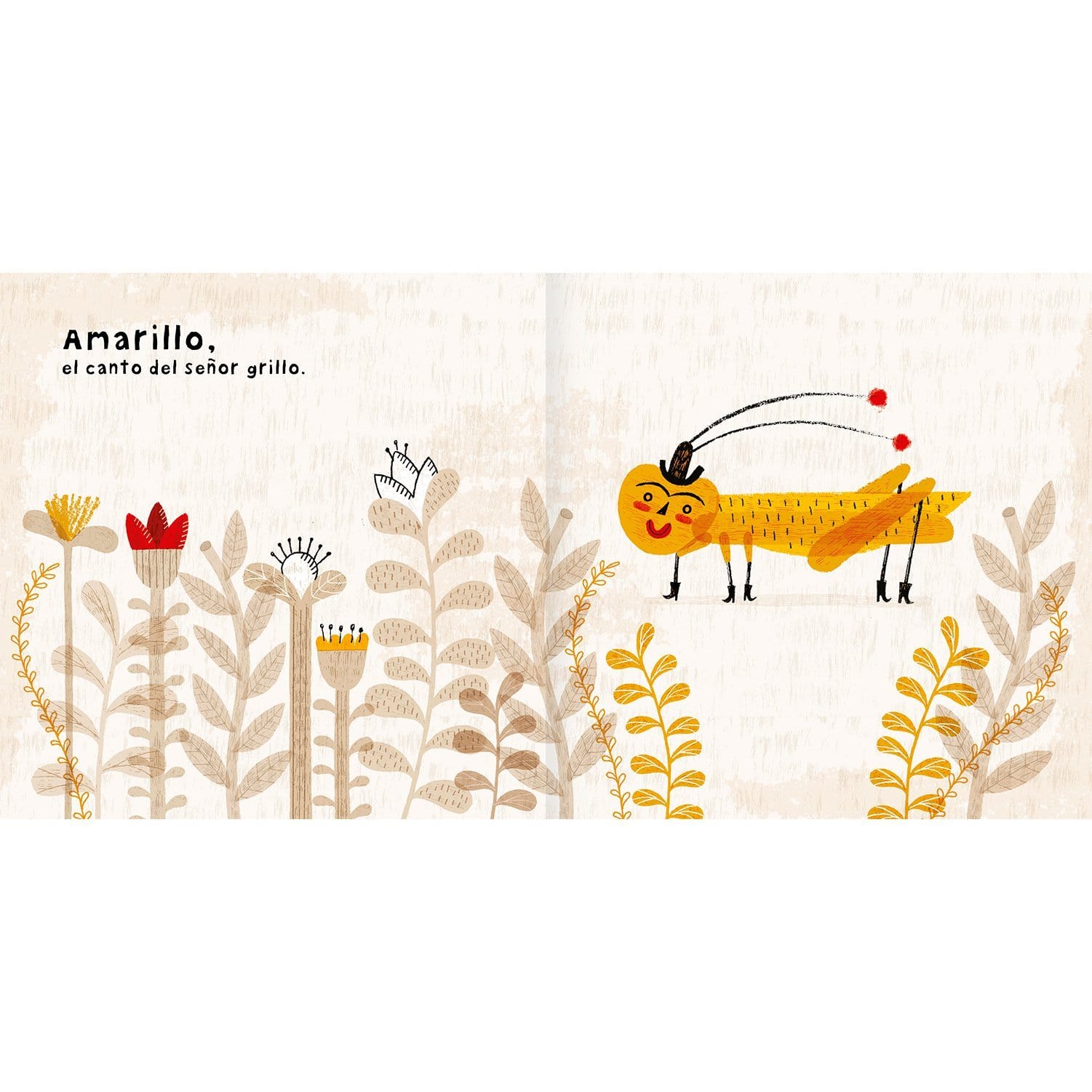 Interior Libro "Colores"