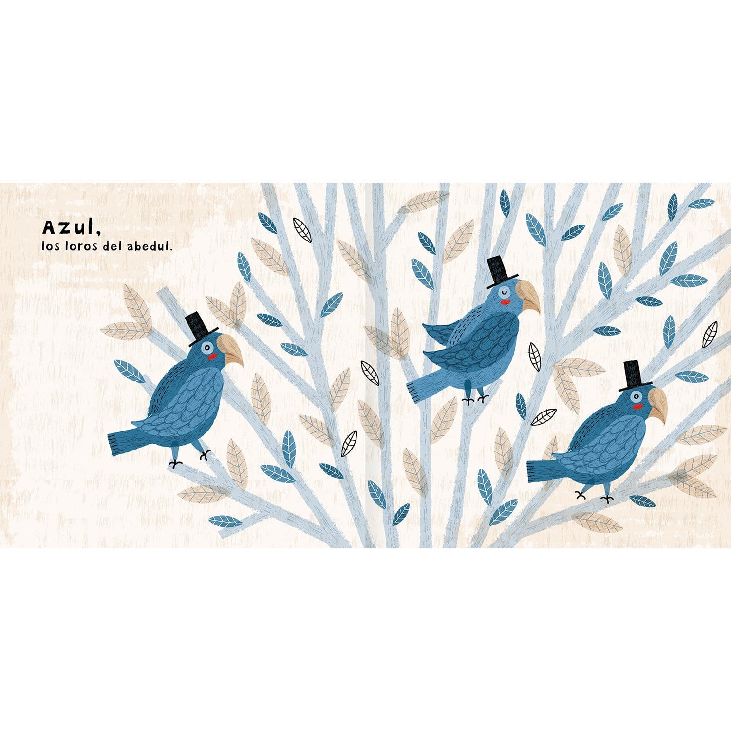 Interior Libro "Colores"