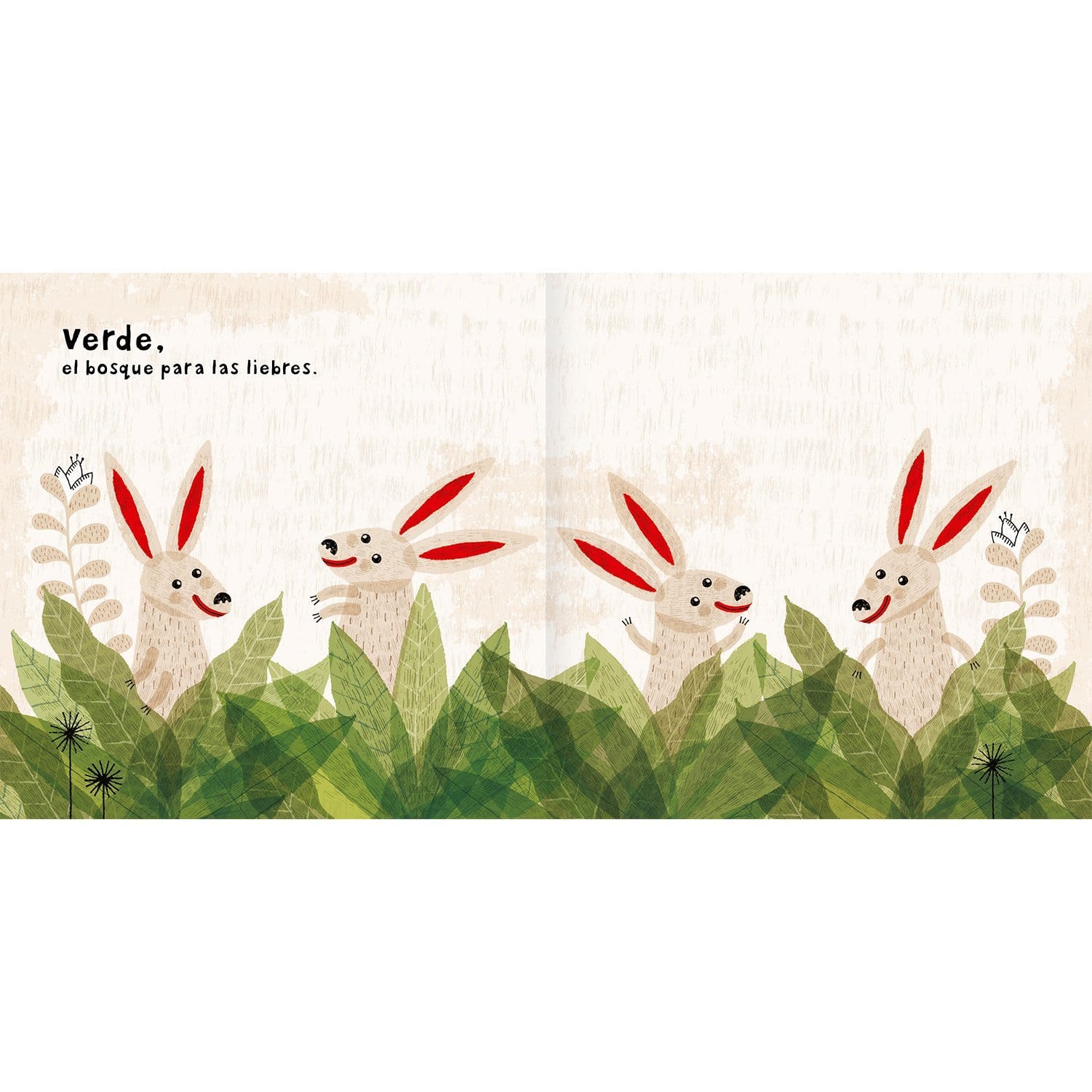 Interior Libro "Colores"