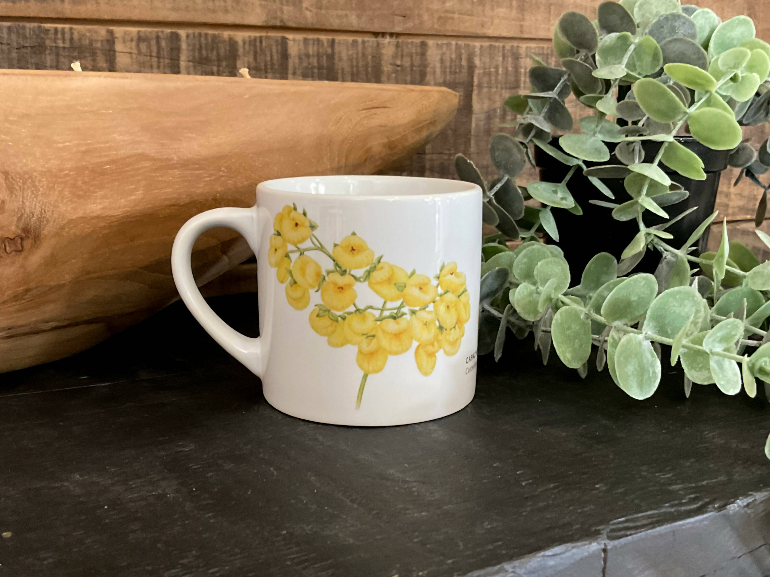 TAZA CAFÉ FLOR CAPACHITO