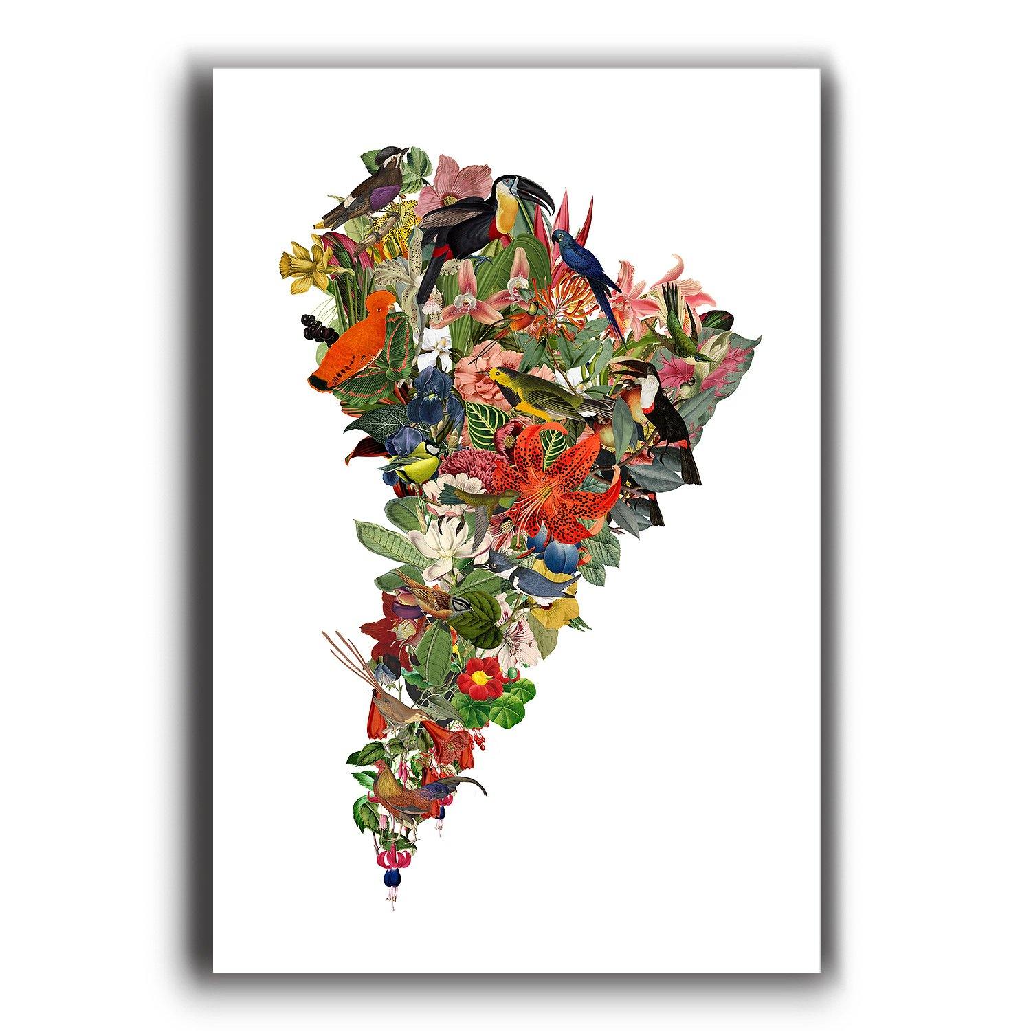 Flor de Sudamérica Blanco - Lámina - Mappin