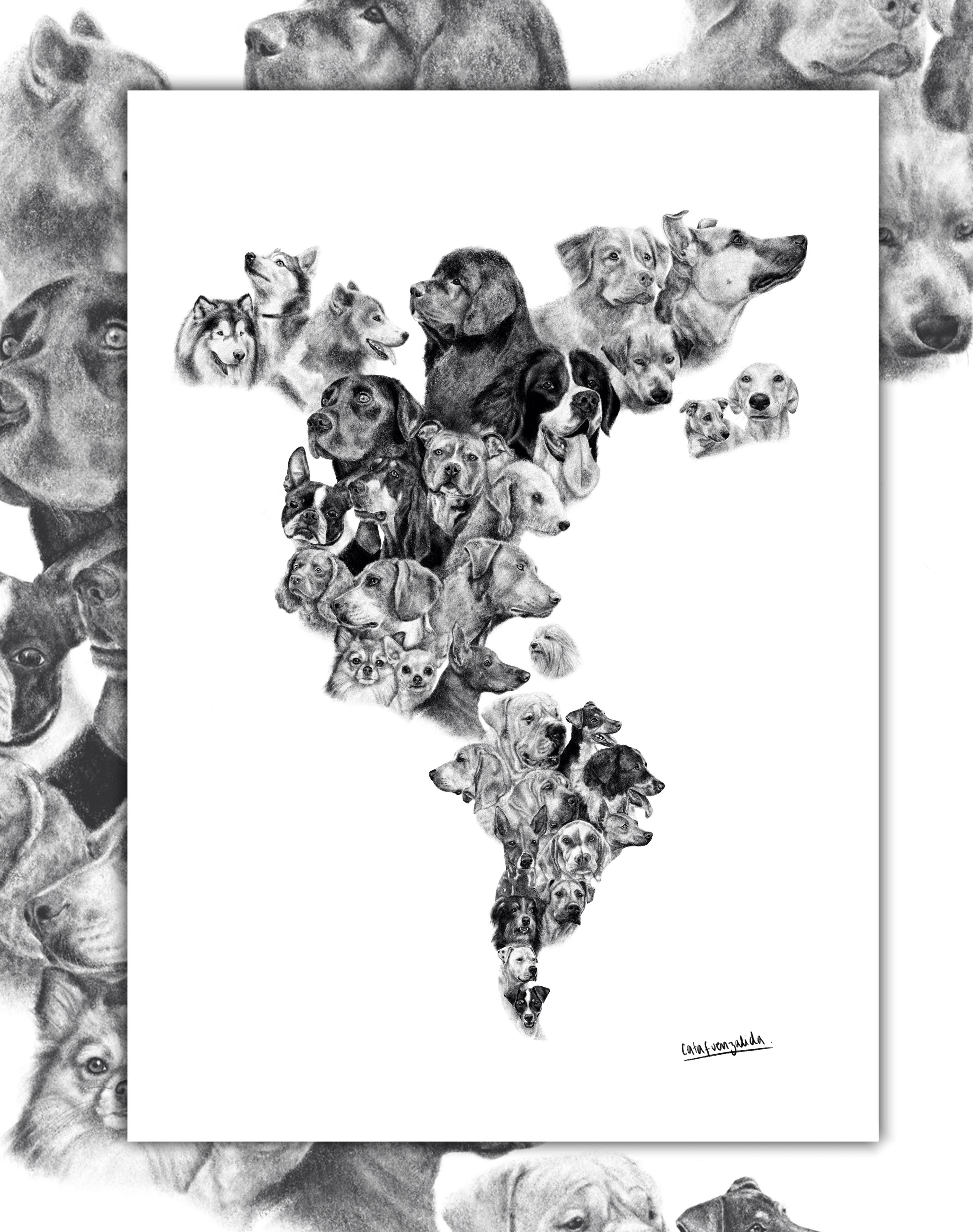 Mapa de Perros de América - Lámina