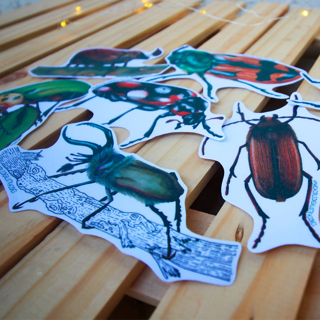 Set de Stickers: "Coleópteros de Chile"