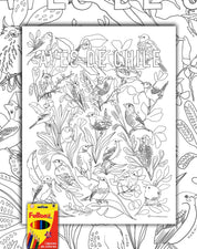 Aves de Chile - Lámina Coloreable con Lápices