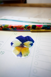 Set de Stickers Troquelados (4 láminas)