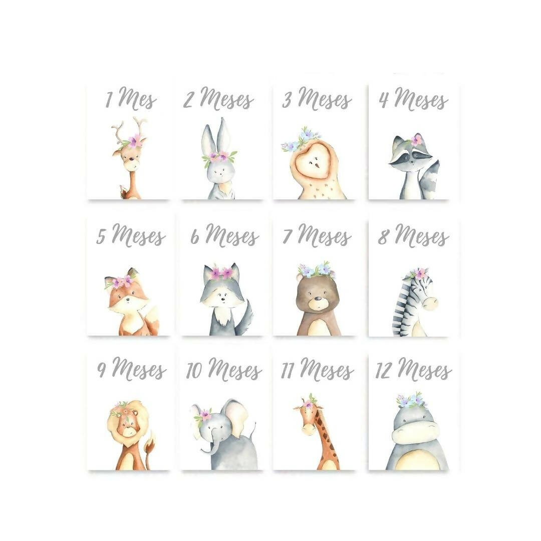 Tarjetas Meses Bebé "Animali Flori"