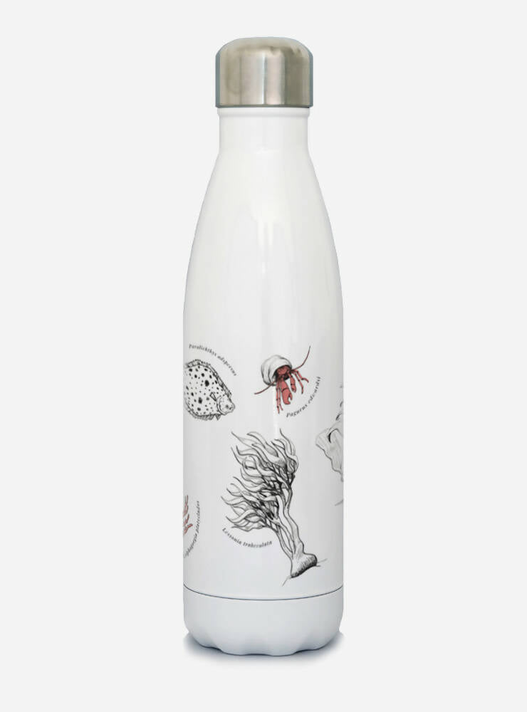 Botella térmica Fondo Marino