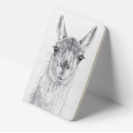 Libreta GUANACO