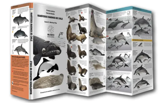MAMIFEROS MARINOS DE CHILE  -  DANIEL MARTINEZ - DESPLEGABLE