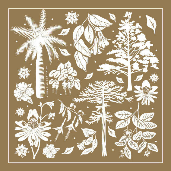 Pañuelo Paisaje Chileno 60