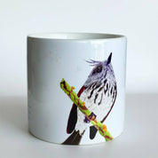 post taza de cafe cachudito