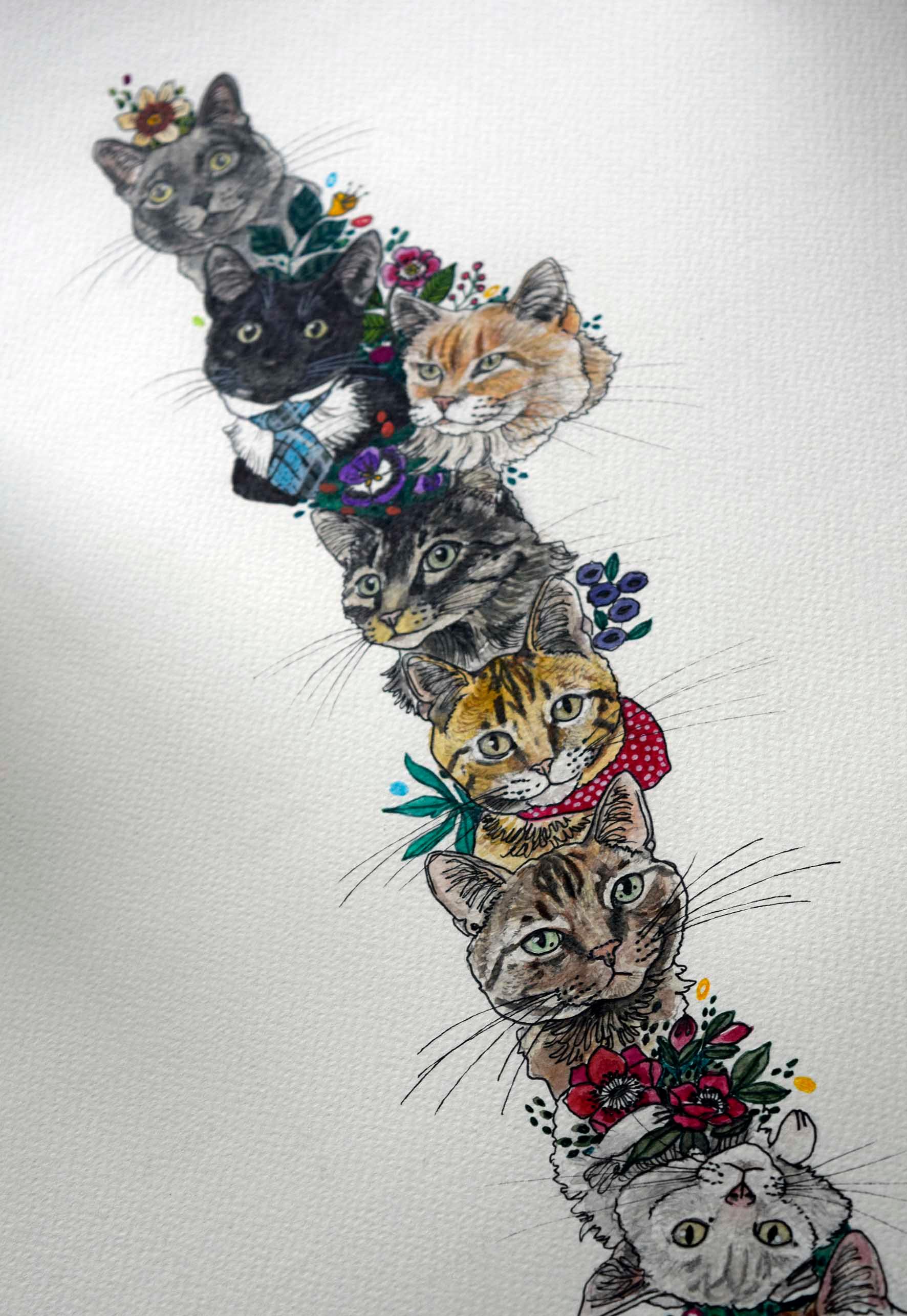 Mapa de Gatos - Lámina - Mappin