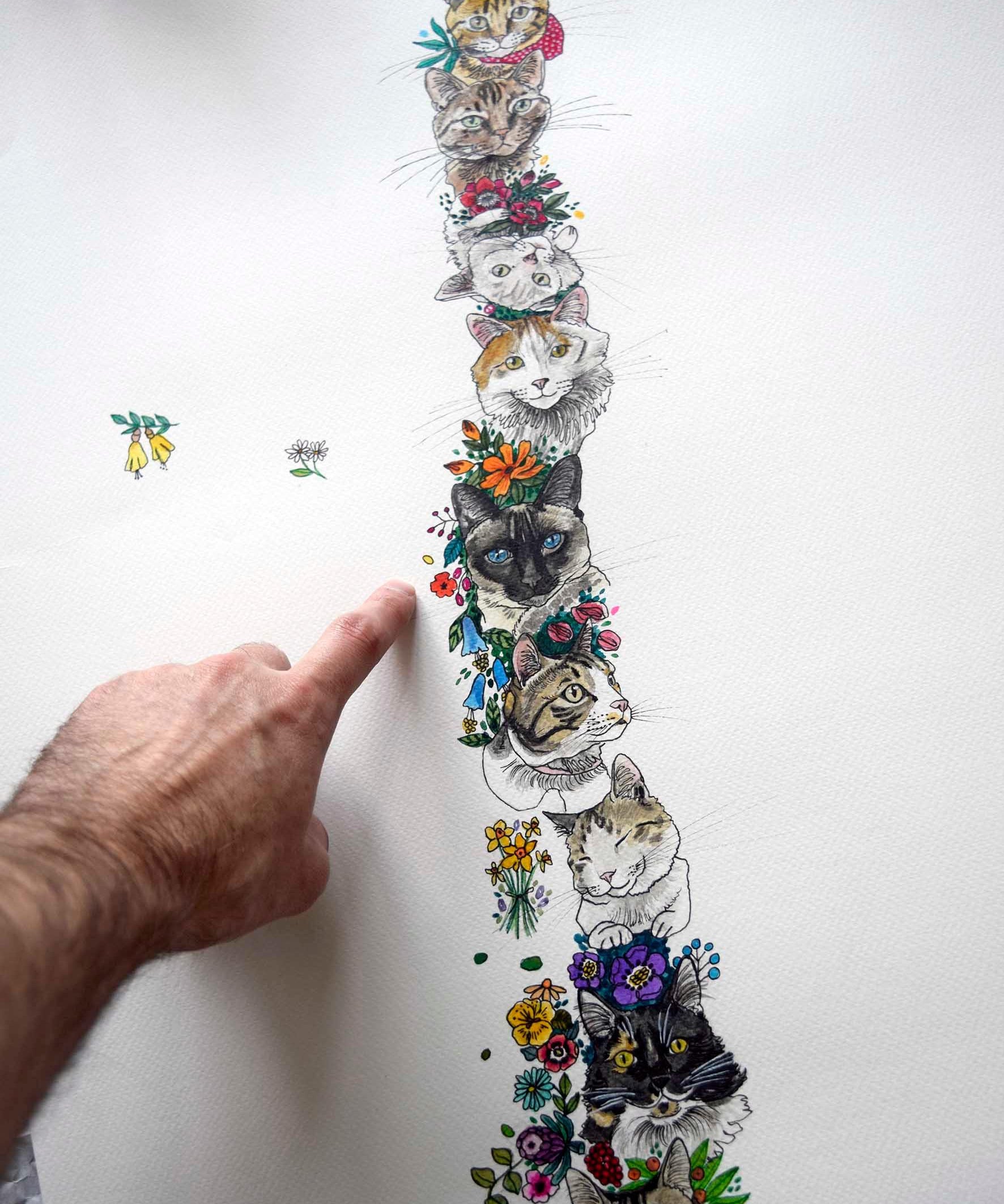 Mapa de Gatos - Lámina - Mappin