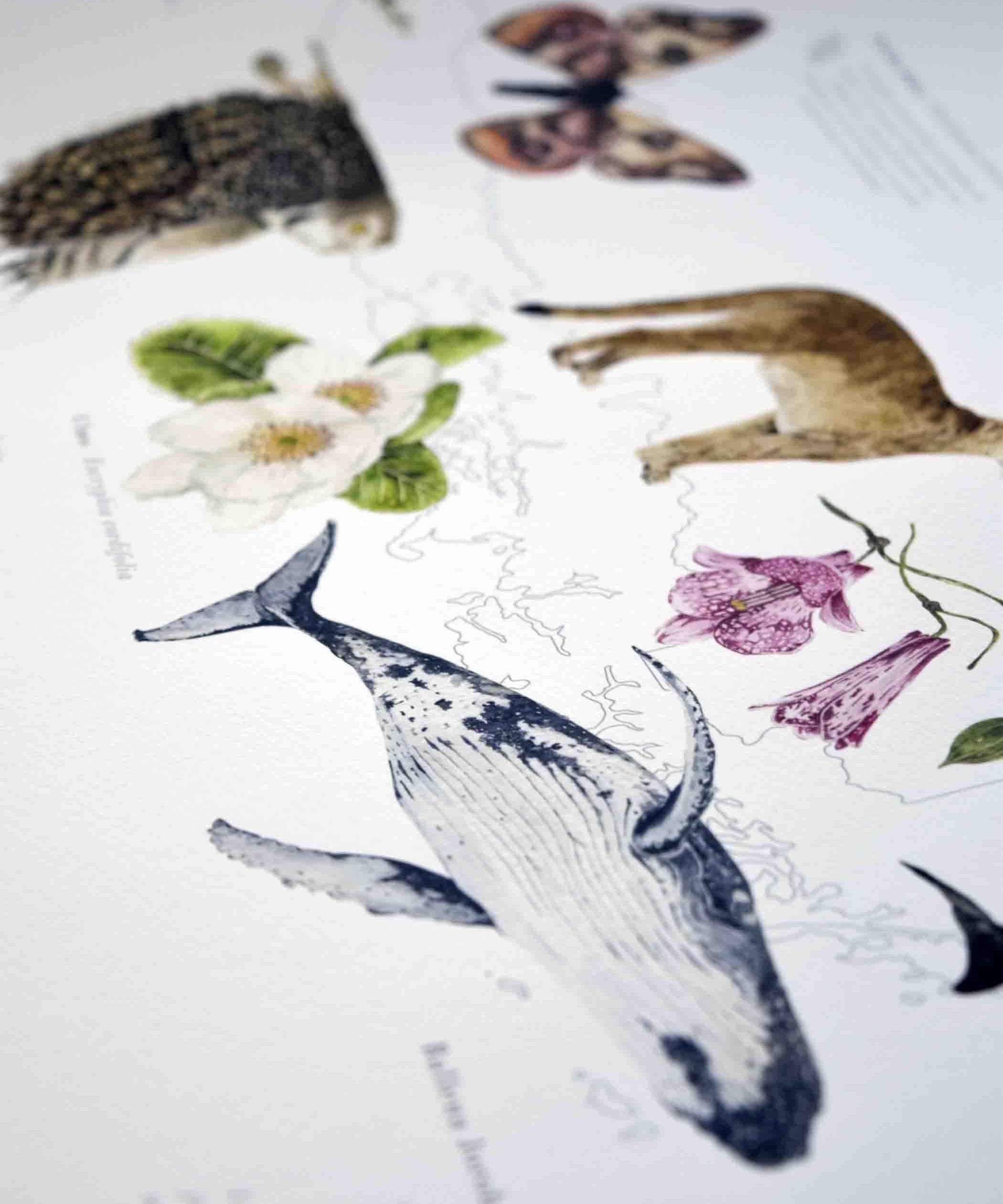 Mapa Chile en Movimiento - Lámina - Mappin