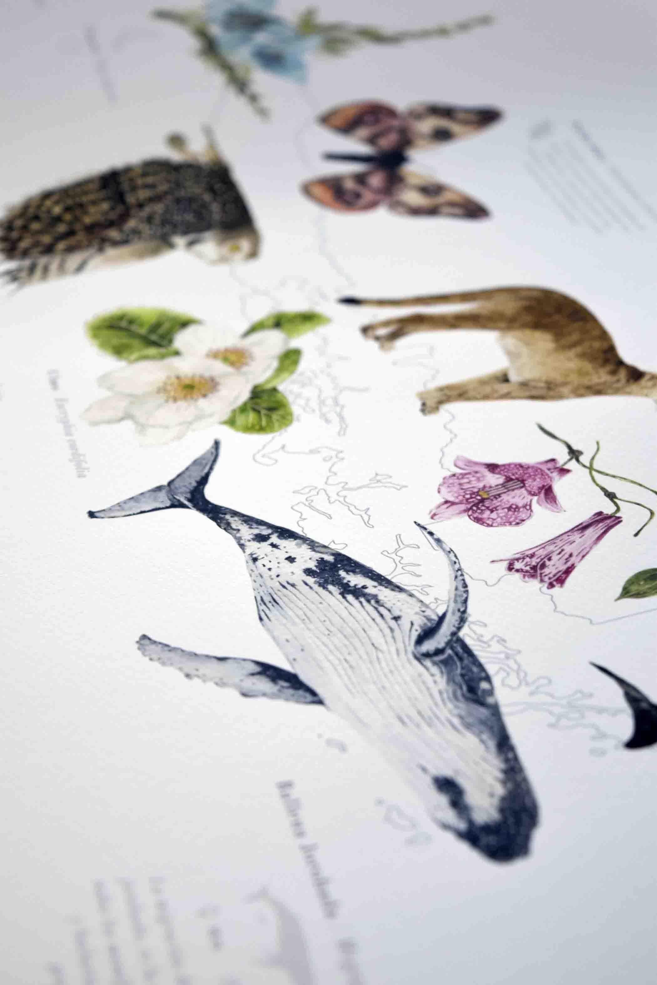 Mapa Chile en Movimiento - Lámina - Mappin