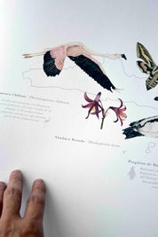 Mapa Chile en Movimiento - Lámina - Mappin