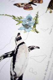 Mapa Chile en Movimiento - Lámina - Mappin