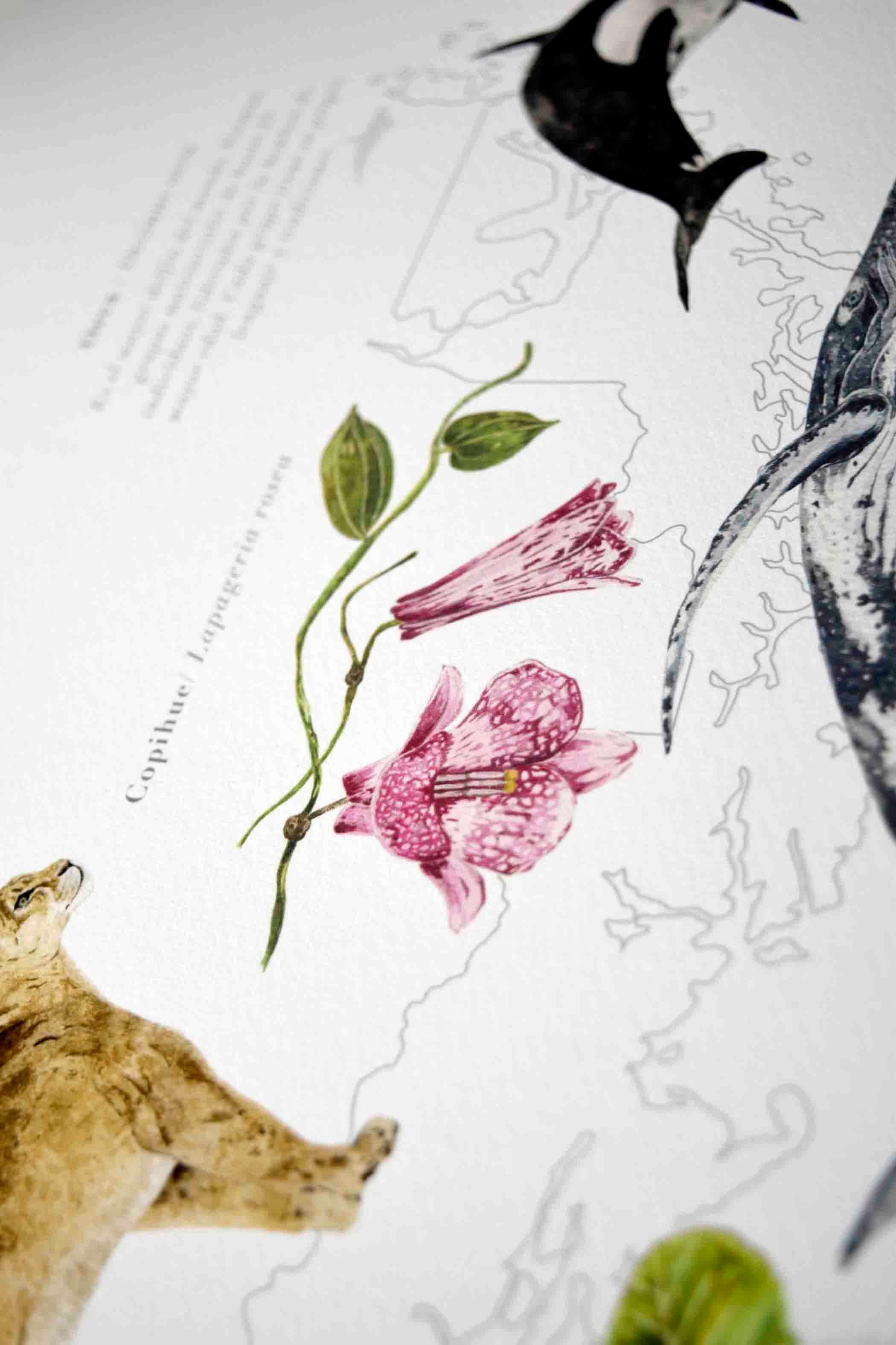 Mapa Chile en Movimiento - Lámina - Mappin