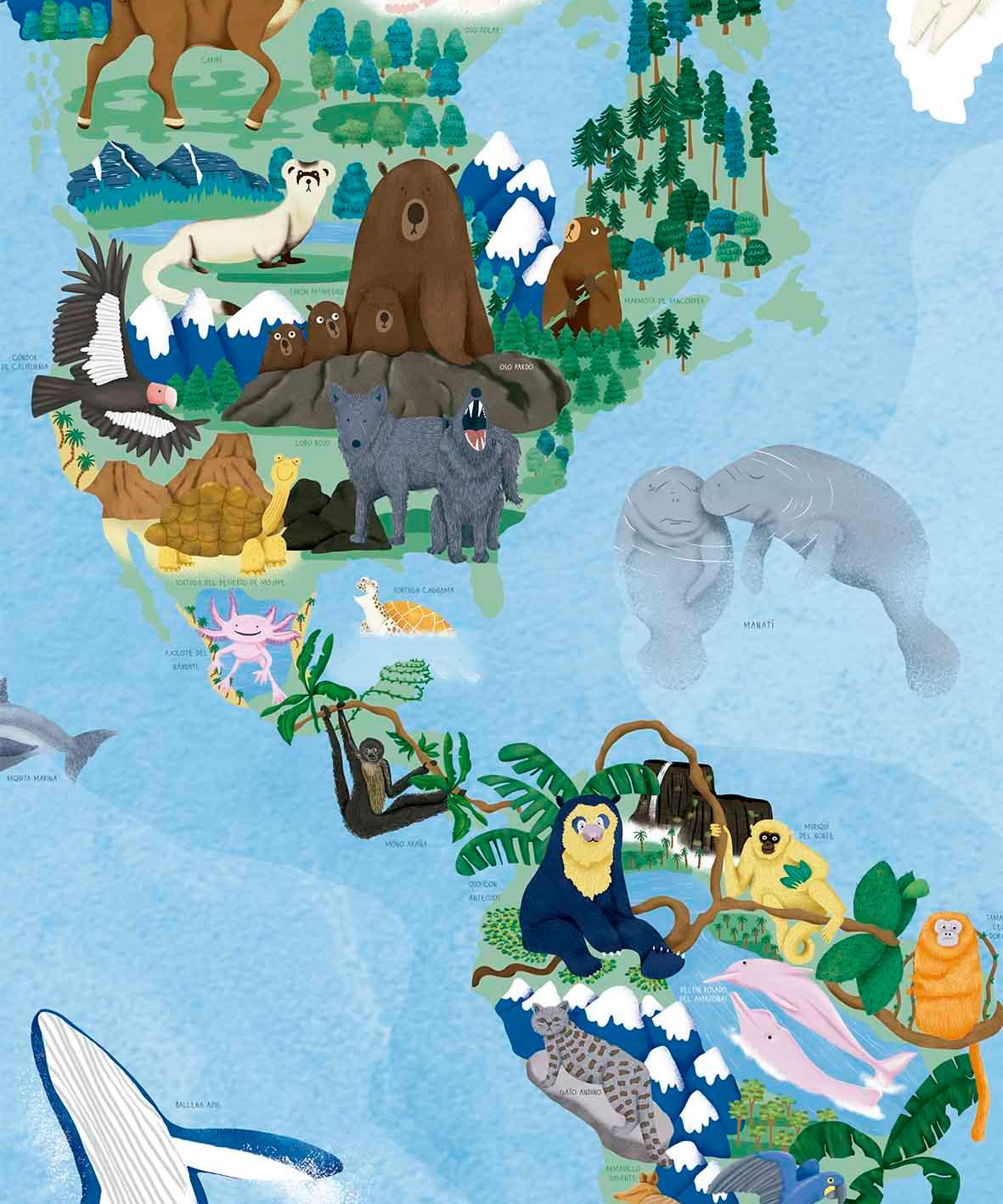 Mapa del Mundo de Animales en Peligro de Extinción - Lámina - Mappin