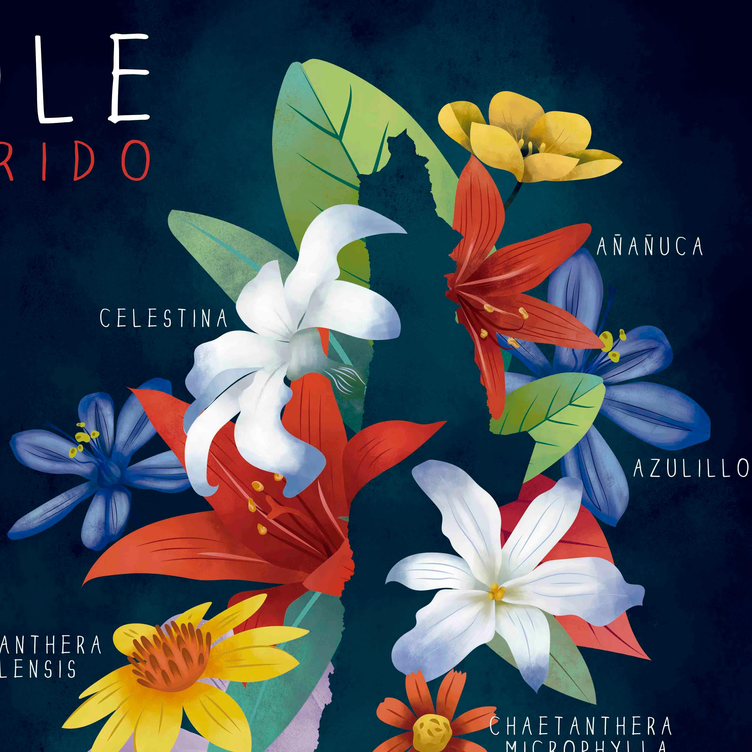 Chile Florido - Lámina - Mappin