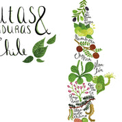 Mapa de Frutas y Verduras de Chile - Lámina - Mappin