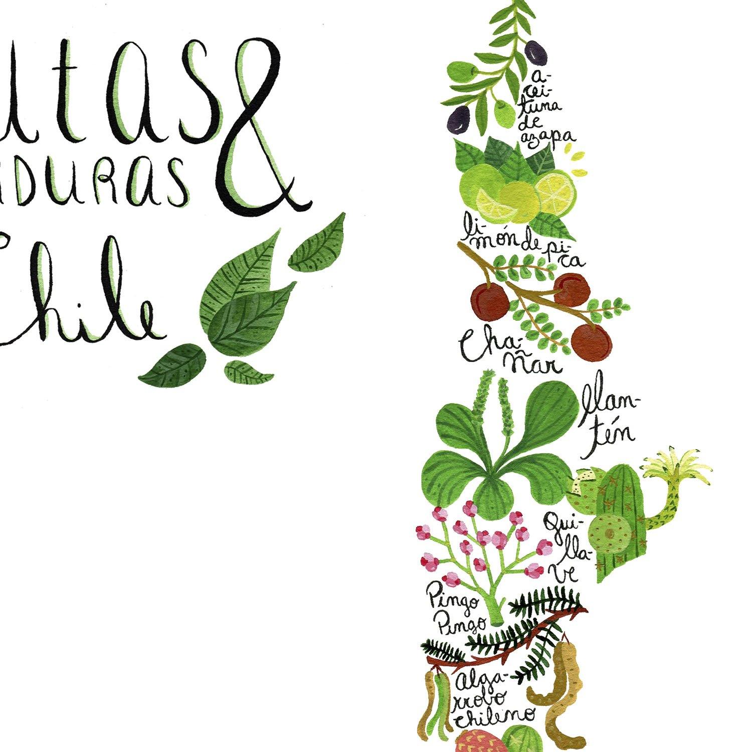 Mapa de Frutas y Verduras de Chile - Lámina - Mappin