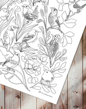 Aves de Chile - Lámina Coloreable con Lápices