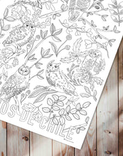 Búhos de Chile - Lámina Coloreable con Lápices