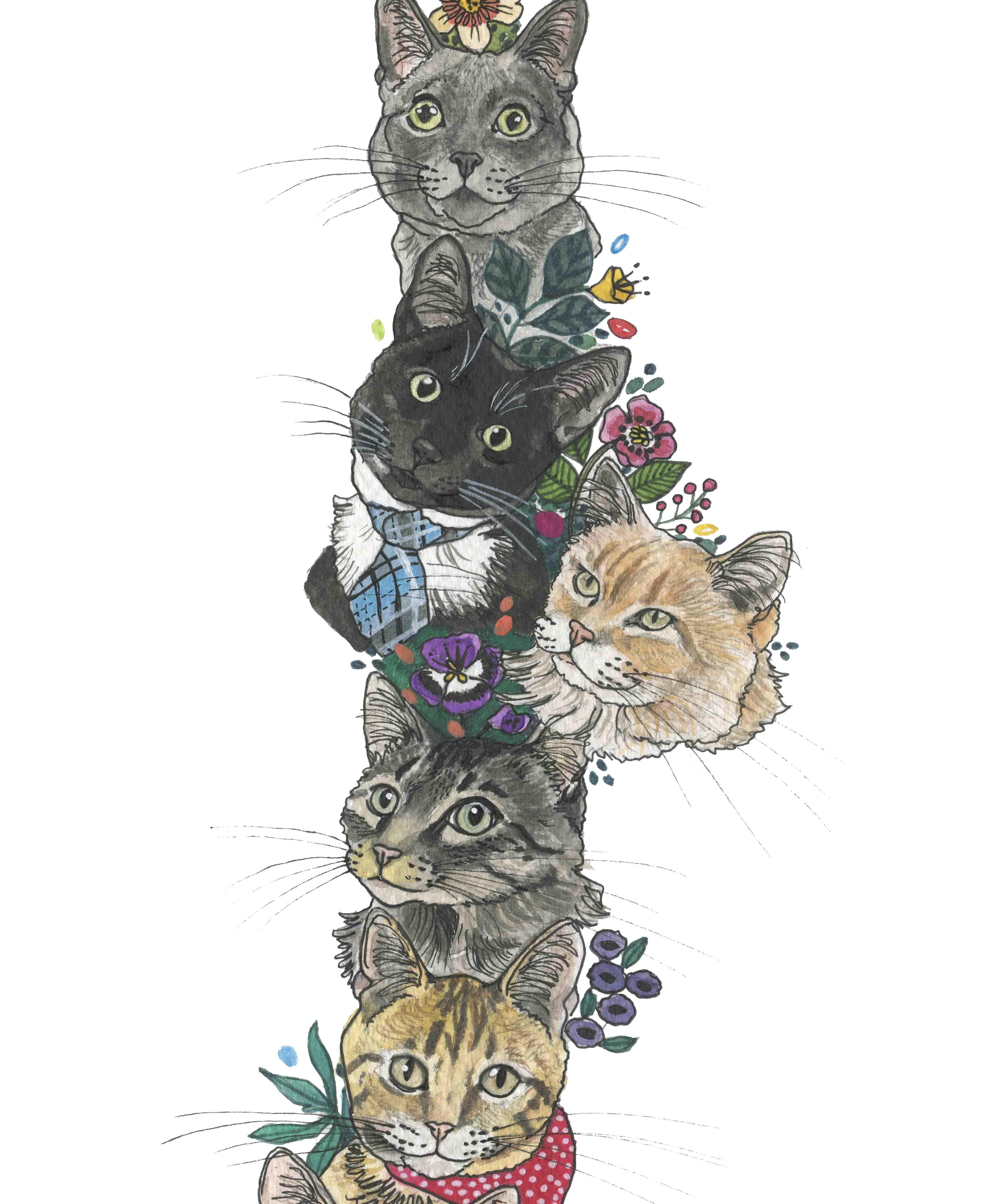 Mapa de Gatos - Lámina - Mappin