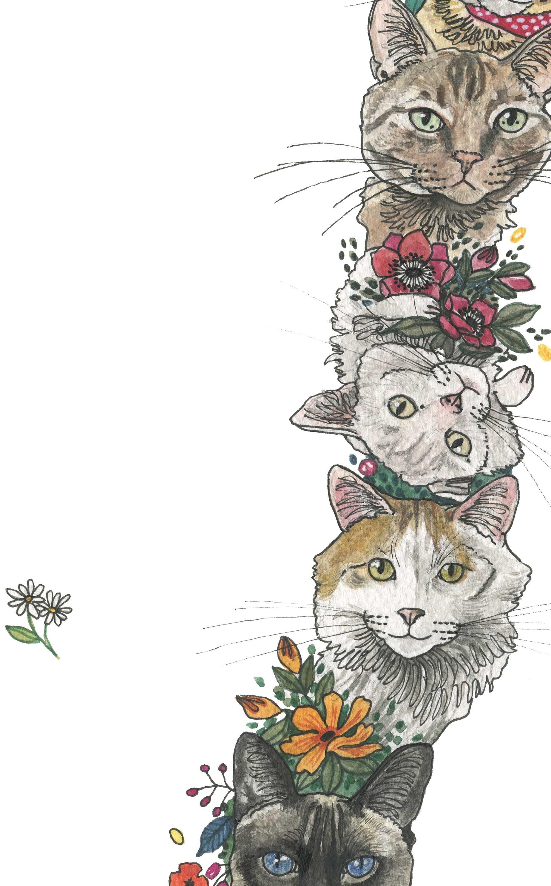 Mapa de Gatos - Lámina - Mappin