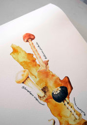 Mapa de Hongos en Chile - Lámina - Mappin