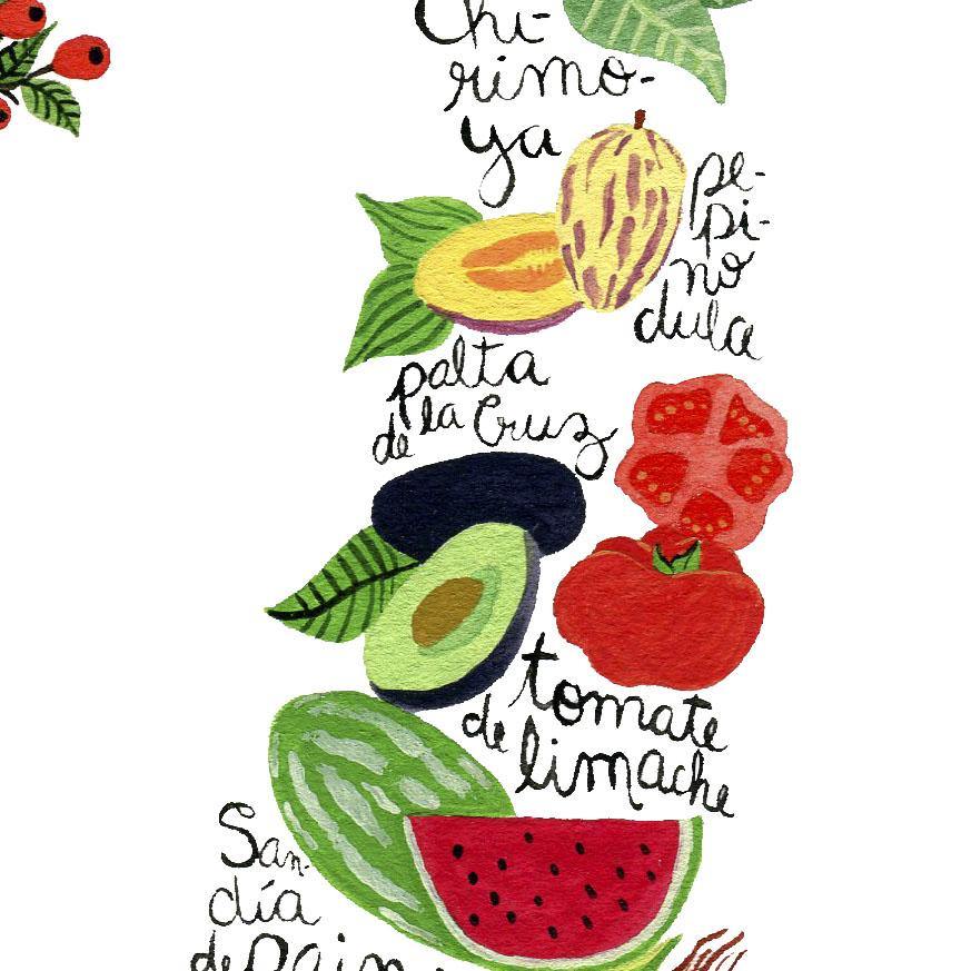 Mapa de Frutas y Verduras de Chile - Enmarcado - Mappin
