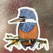 IMAN MARTIN PESCADOR, aves de Chile