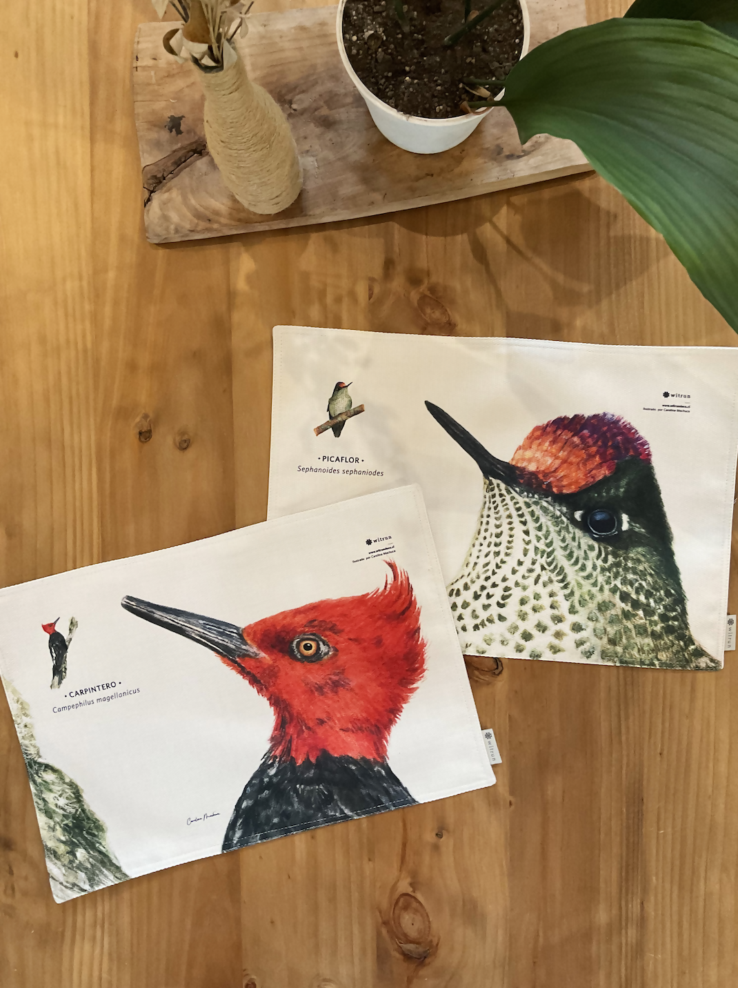 SET 4 INDIVIDUALES DISEÑO AVES I