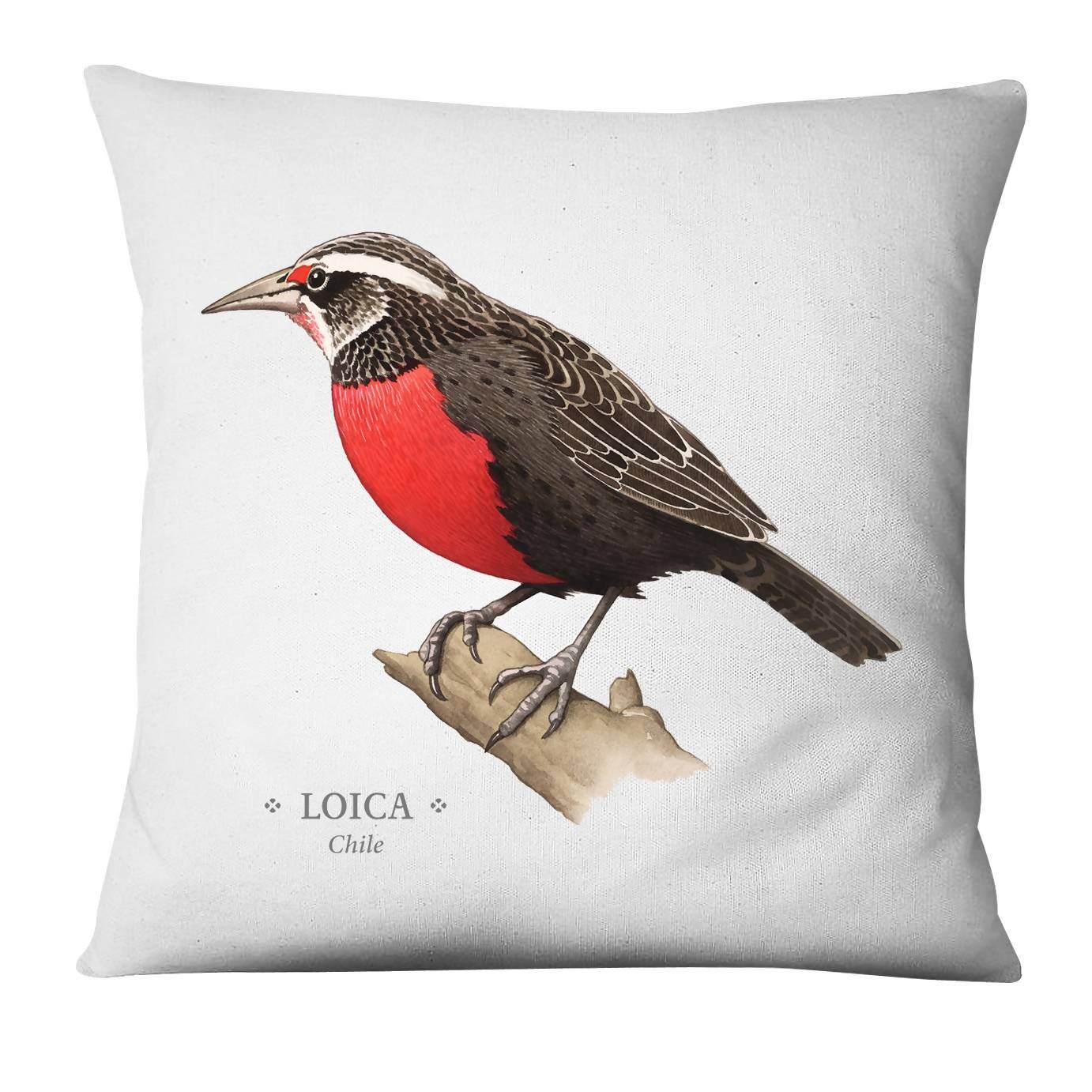 Funda cojín Loica