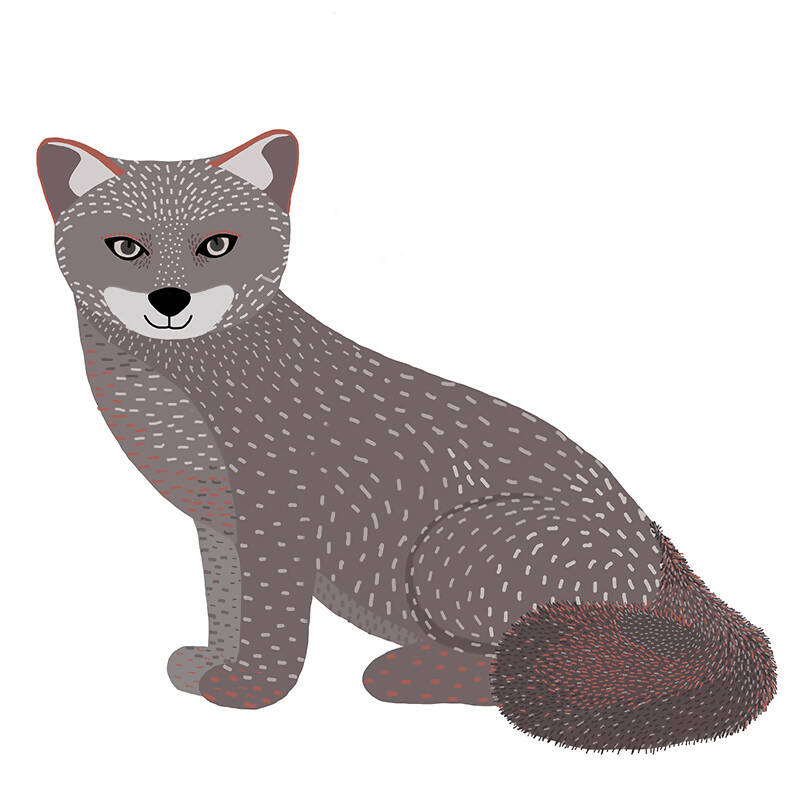 Cuadro ZORRO CHILOTE, COLECCION FAUNA CHILENA, 30X30CM