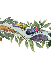 Mapa de Escarabajos de Chile - Lámina