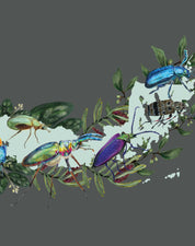 Mapa de Escarabajos de Chile - Lámina