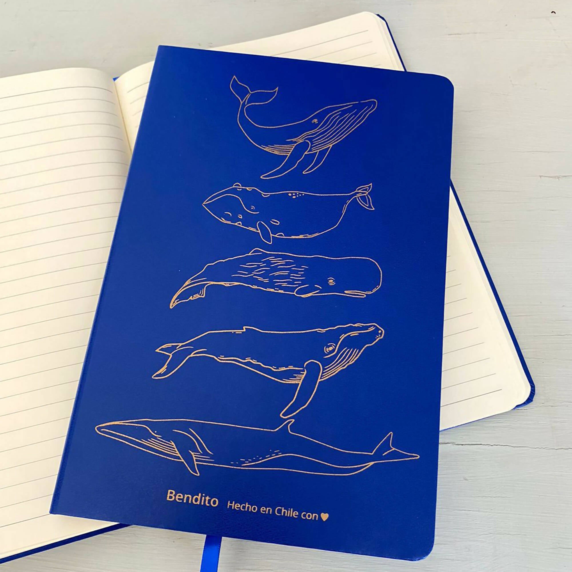 Cuaderno Ballenas