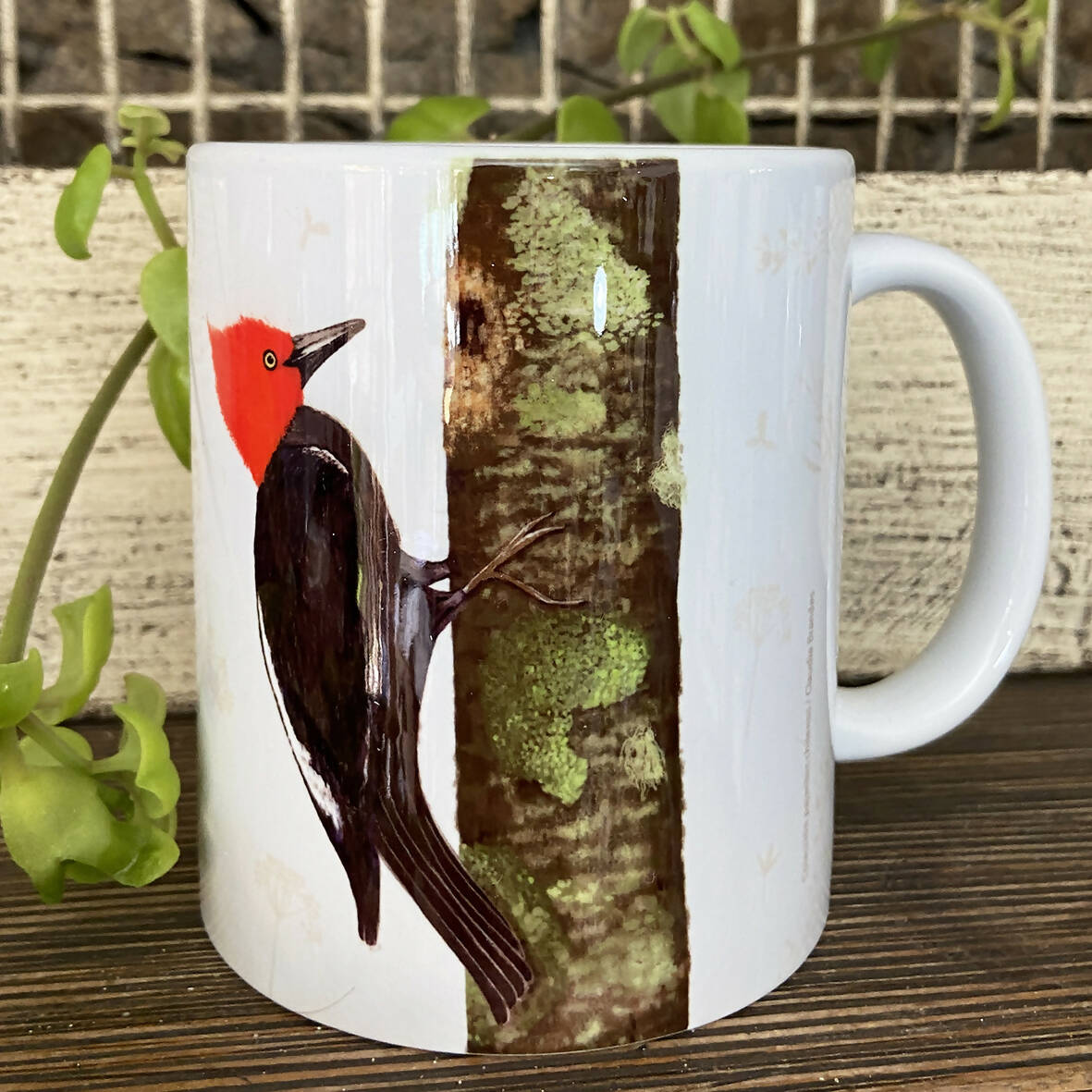 Tazón Carpintero, pajaritos chilenos