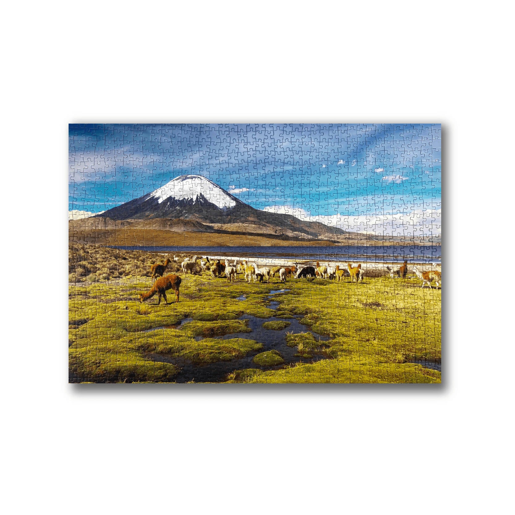 Puzzle Parque Nacional Lauca 1000 Piezas