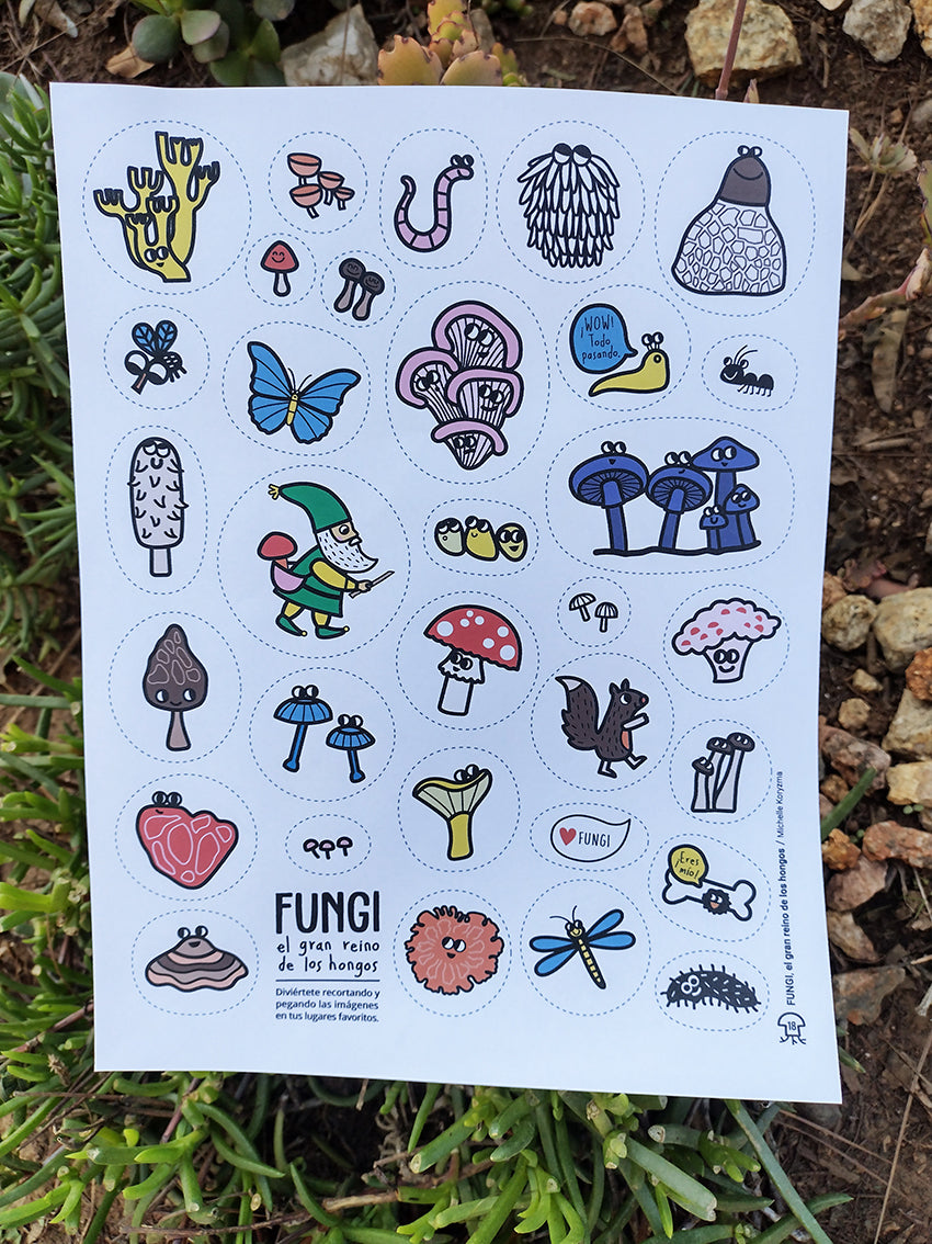 Fungi, el gran reino de los hongos