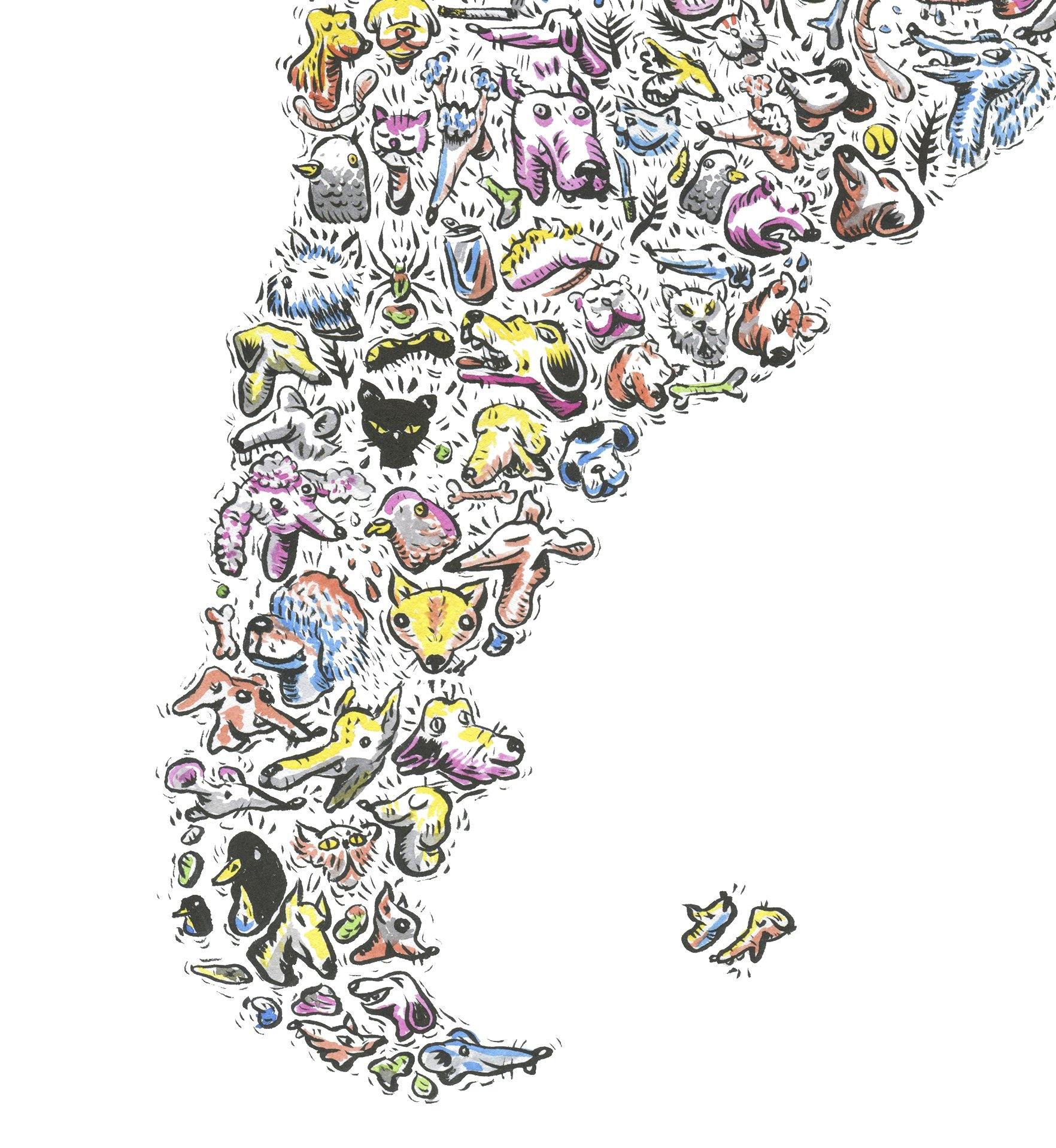 Fauna Urbana Latinoamericana - Lámina - Mappin