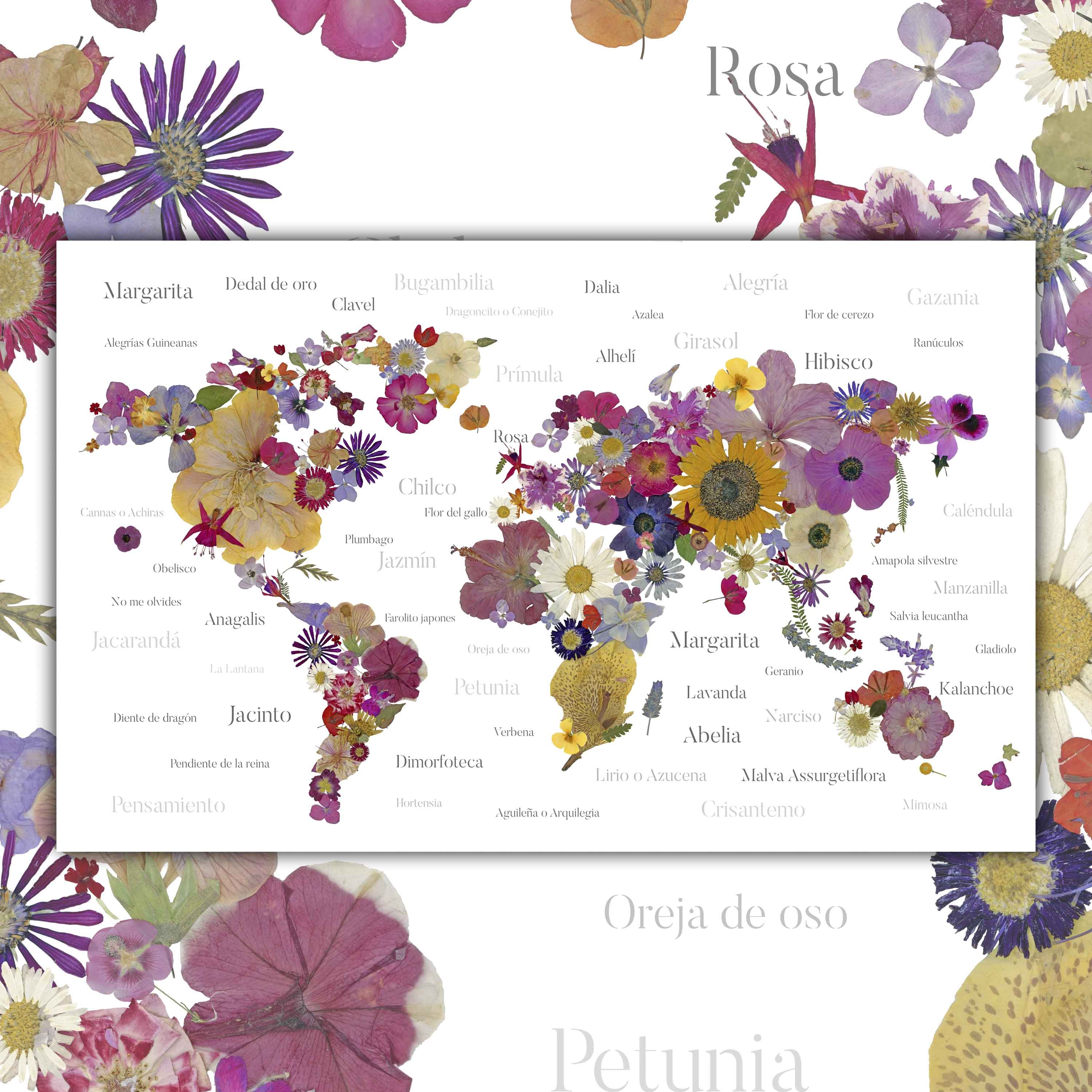 FloresPrensadas-LaminaWEB_056820e4-2923-4819-9d6a-7c59124f0d29.jpg