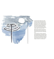 COLECCIÓN MUJERES CHILENAS