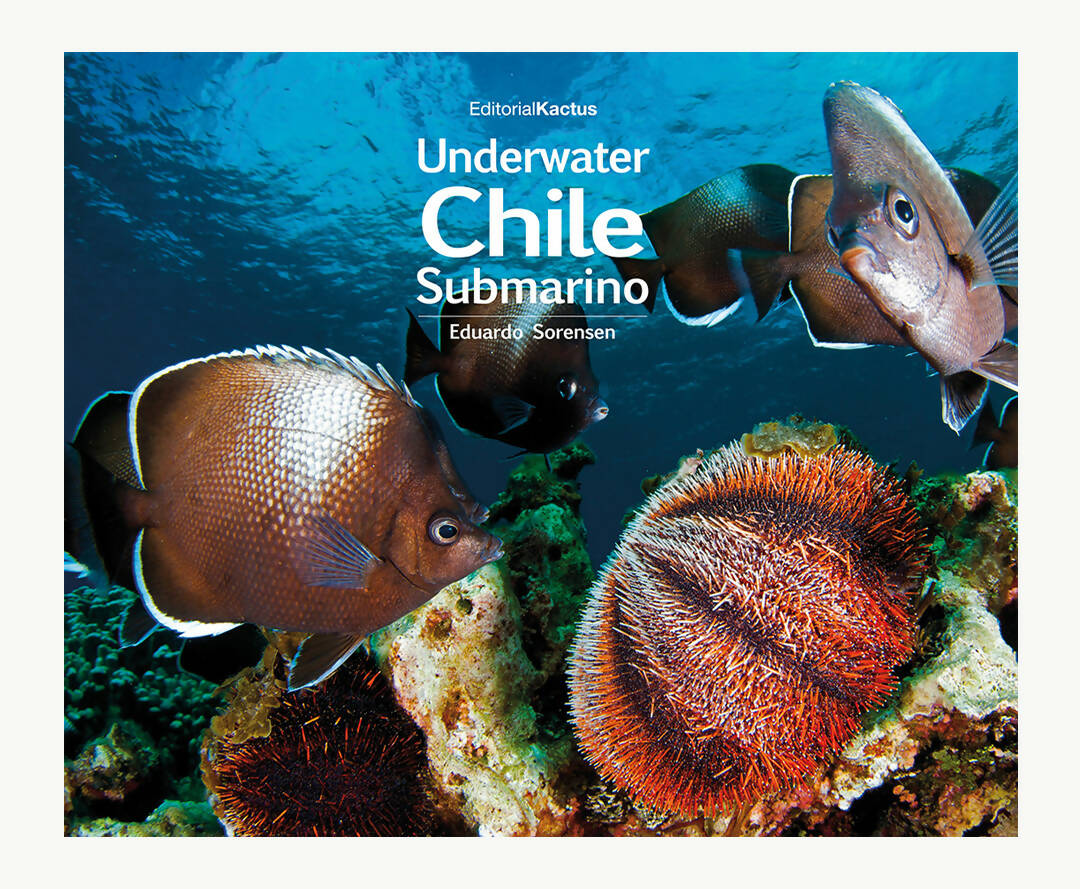 Libro Chile Submarino