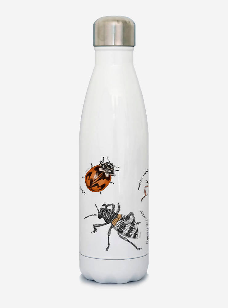 Botella térmica insectos
