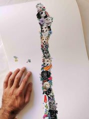 Mapa de Quiltros Chilenos - Lámina - Mappin