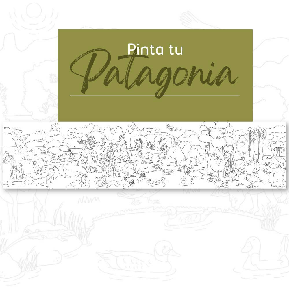 Coloring Roll "Pinta tu Patagonia"